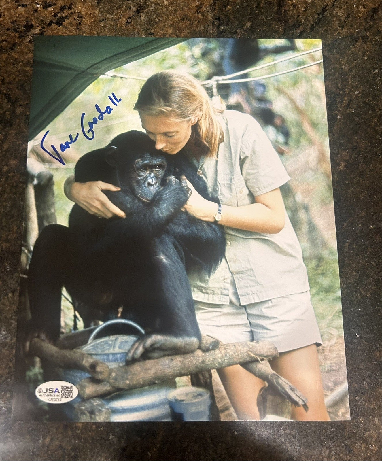 Jane Goodall Signed Autographed 8x10 Color Photo JSA COA Rare Autograph Goodall