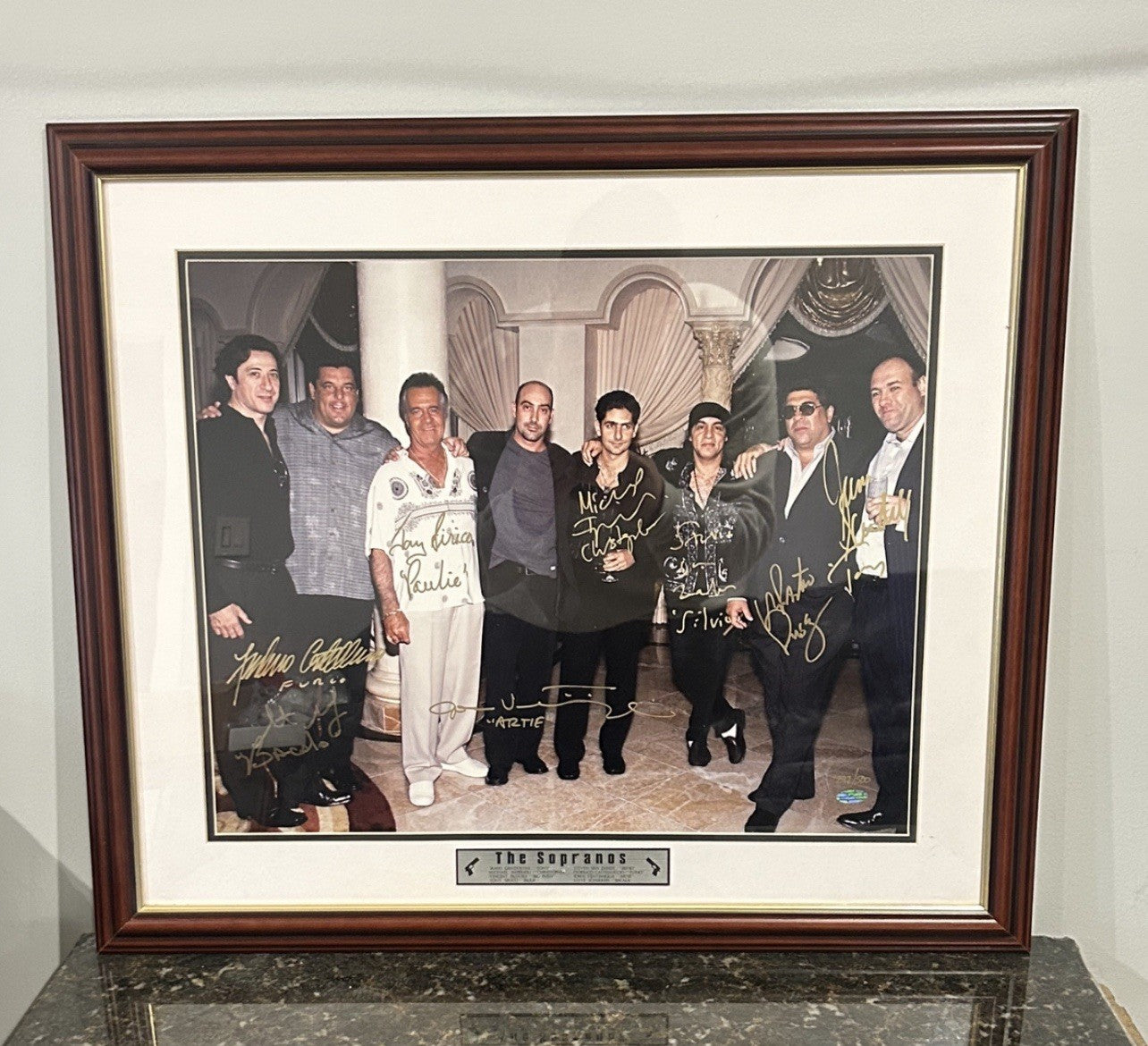 MULTI SIGNED (8) The Sopranos CAST 16x20 FRAMED Gandolfini White 297/500 PSA LOA