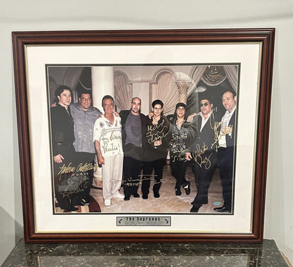MULTI SIGNED (8) The Sopranos CAST 16x20 FRAMED Gandolfini White 297/500 PSA LOA