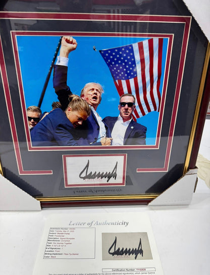Donald Trump Framed Autographed Assassination Attempt Presidential Photo JSA LOA